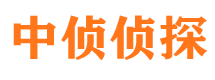 正定私人侦探